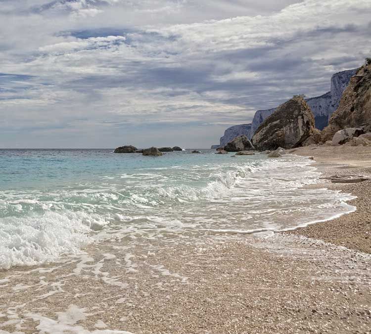 iMETland - 'Electric' bacteria can purify sewage water - fast