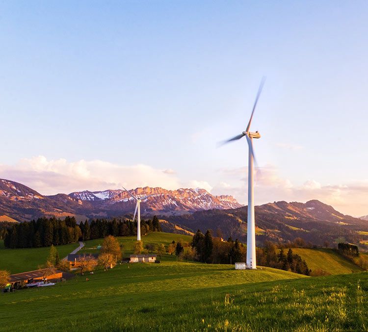 Renewables are stronger than ever as they power through the pandemic