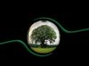 State of Europe’s environment not good