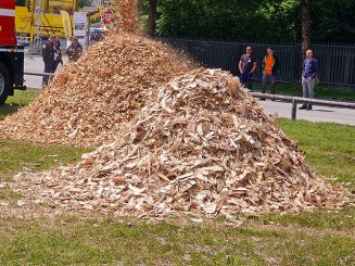 La sostenibilità delle biomasse