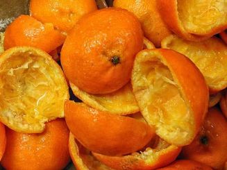 ENEA, nuove soluzioni per la gestione dei rifiuti organici