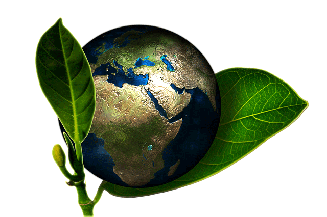 Nuova ISO 14001:2026, la gestione ambientale entra sempre più nelle strategie aziendali